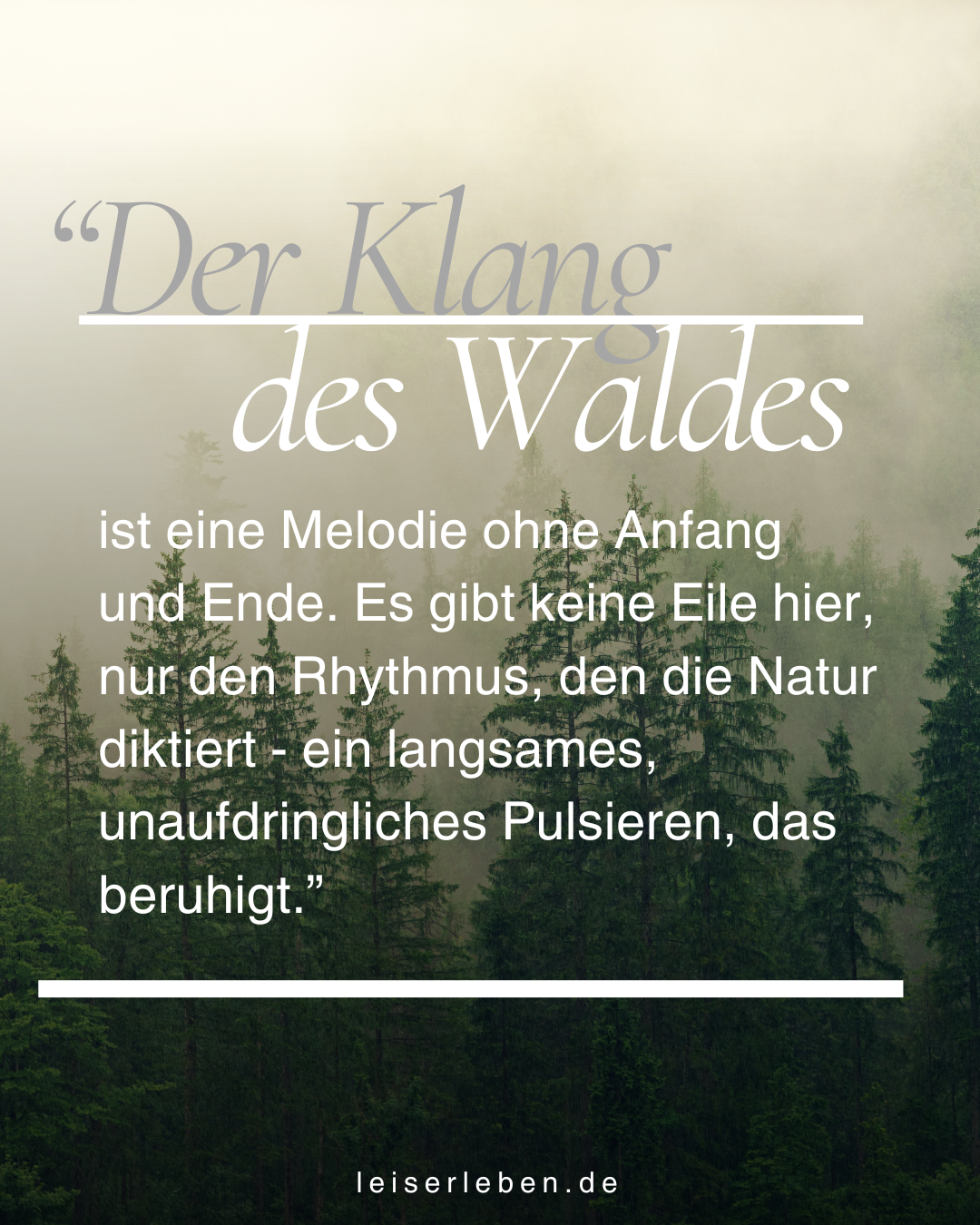 Der Klang des Waldes - leiserleben.de